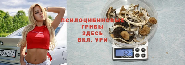 прущие грибы Аркадак