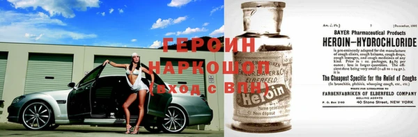 прущие грибы Аркадак