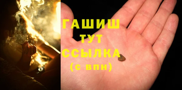 прущие грибы Аркадак
