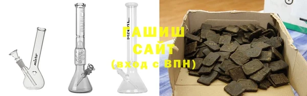 прущие грибы Аркадак