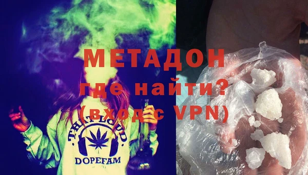 прущие грибы Аркадак
