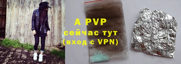 прущие грибы Аркадак
